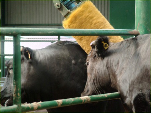 High-Efficiency and High-Profit Farms