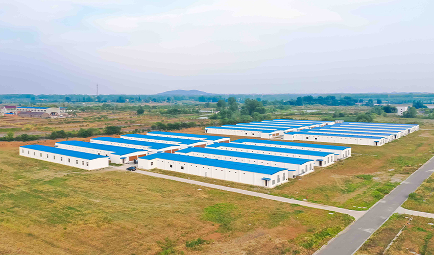 Jiangsu Poultry Equipment Project