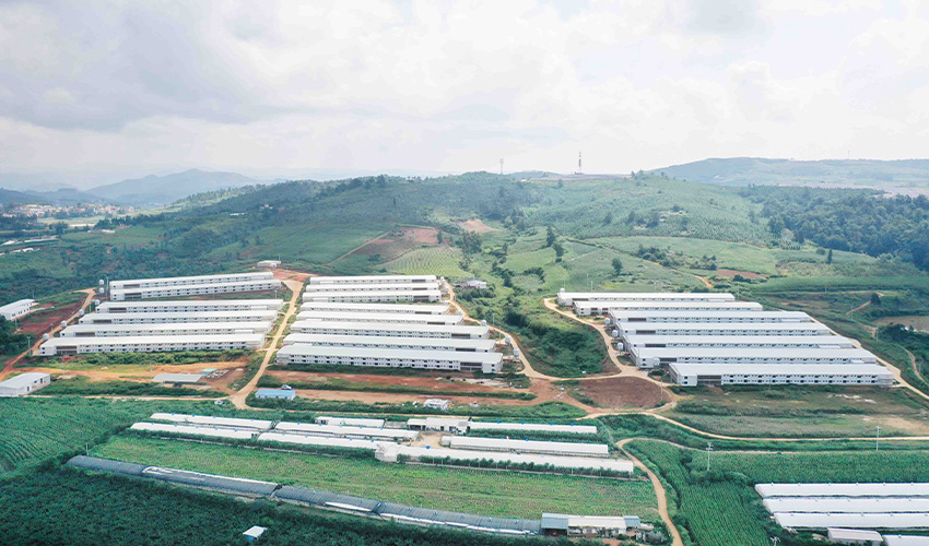 Yunnan Broiler Double-Layer Floor Raising Project