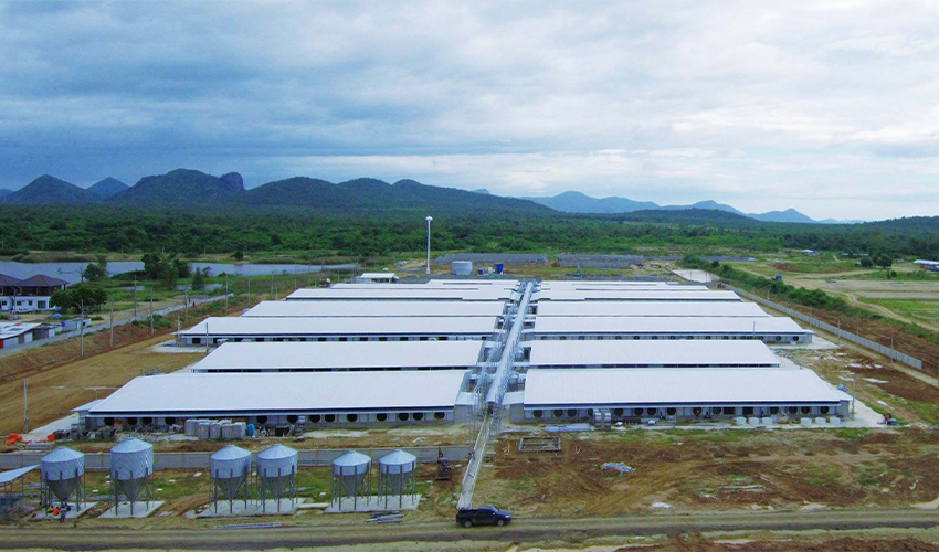 Thailand Livestock Breeding Project