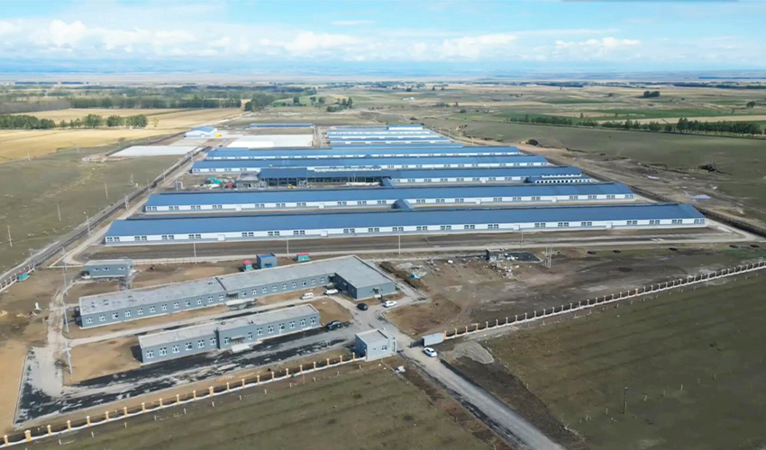 Xinjiang Zhaosu Ranch Project