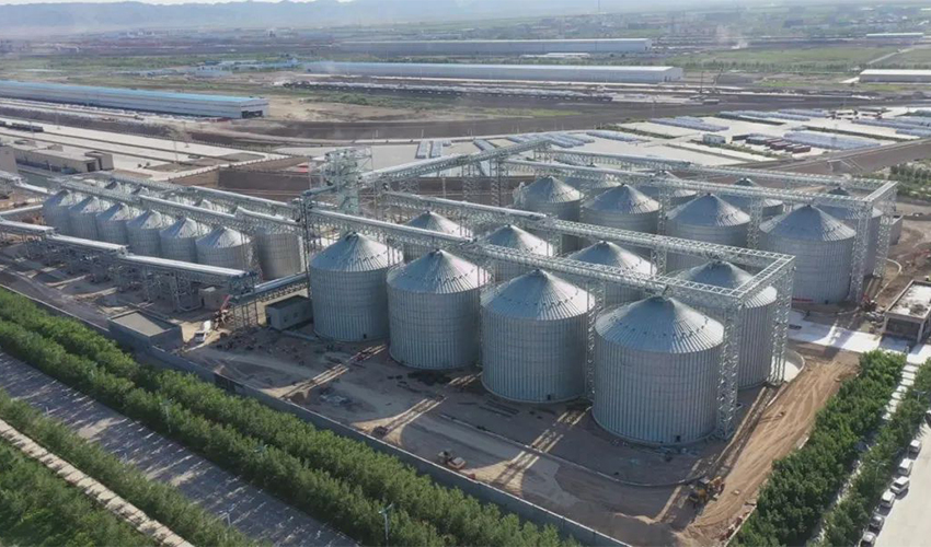 Alashankou Grain Storage and Transportation Project