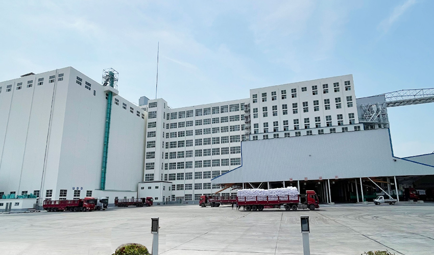 Henan Xinxiang Flour Project