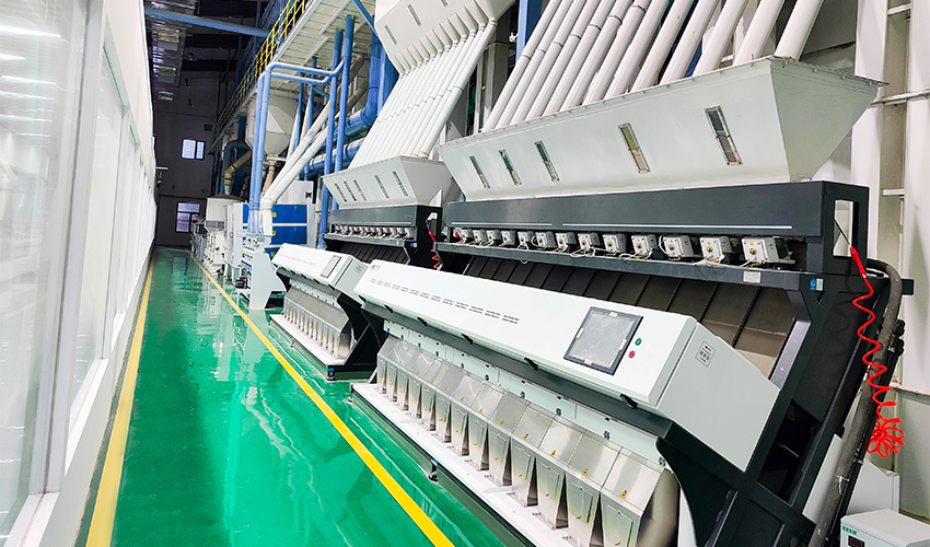 Jiangsu Baoying Rice Industry Project