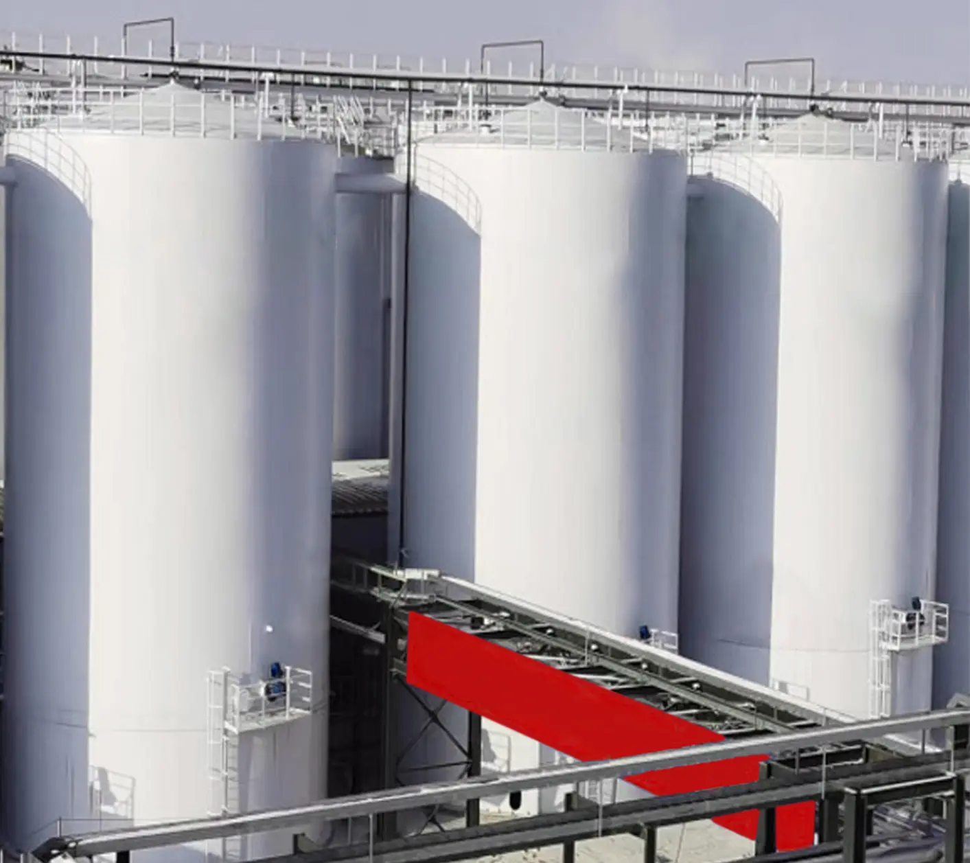 Alcohol Fermentation