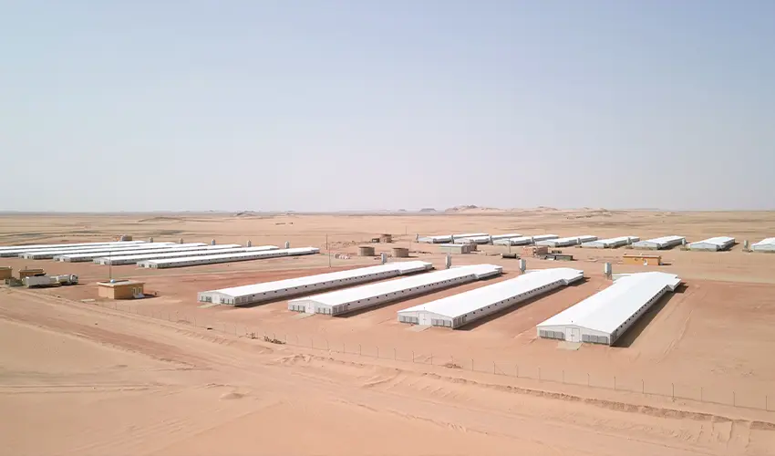 Saudi Arabia Balady Broiler Flat Farming Project
